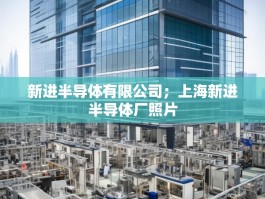 新进半导体有限公司；上海新进半导体厂照片