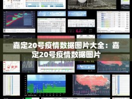 嘉定20号疫情数据图片大全：嘉定20号疫情数据图片