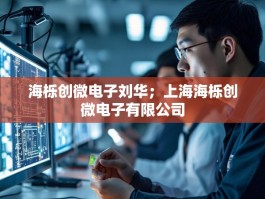 海栎创微电子刘华；上海海栎创微电子有限公司