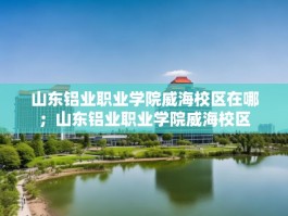 山东铝业职业学院威海校区在哪；山东铝业职业学院威海校区
