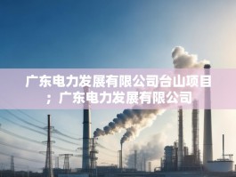 广东电力发展有限公司台山项目；广东电力发展有限公司