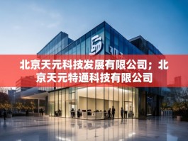 北京天元科技发展有限公司；北京天元特通科技有限公司