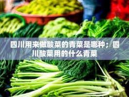 四川用来做酸菜的青菜是哪种；四川酸菜用的什么青菜
