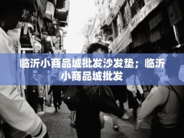 临沂小商品城批发沙发垫；临沂小商品城批发