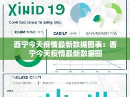 西宁今天疫情最新数据图表：西宁今天疫情最新数据图