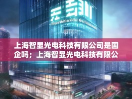 上海智显光电科技有限公司是国企吗；上海智显光电科技有限公司