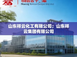 山东祥云化工有限公司；山东祥云集团有限公司