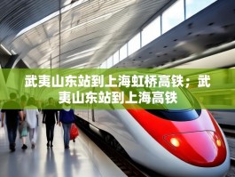 武夷山东站到上海虹桥高铁；武夷山东站到上海高铁