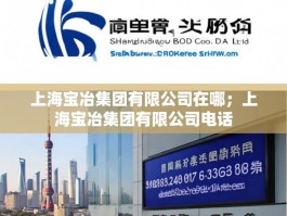 上海宝冶集团有限公司在哪；上海宝冶集团有限公司电话