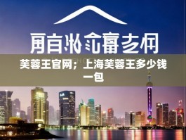 芙蓉王官网；上海芙蓉王多少钱一包