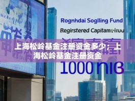 上海松岭基金注册资金多少；上海松岭基金注册资金