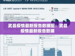 武昌疫情最新报告数据图：武昌疫情最新报告数据