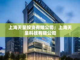 上海天呈投资有限公司；上海天呈科技有限公司