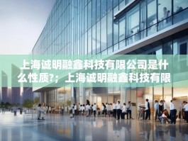 上海诚明融鑫科技有限公司是什么性质?；上海诚明融鑫科技有限公司