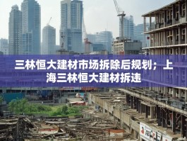 三林恒大建材市场拆除后规划；上海三林恒大建材拆违