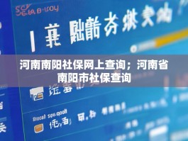 河南南阳社保网上查询；河南省南阳市社保查询